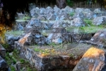 20101031070114pa3.jpg
