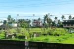20101031071100znu.jpg